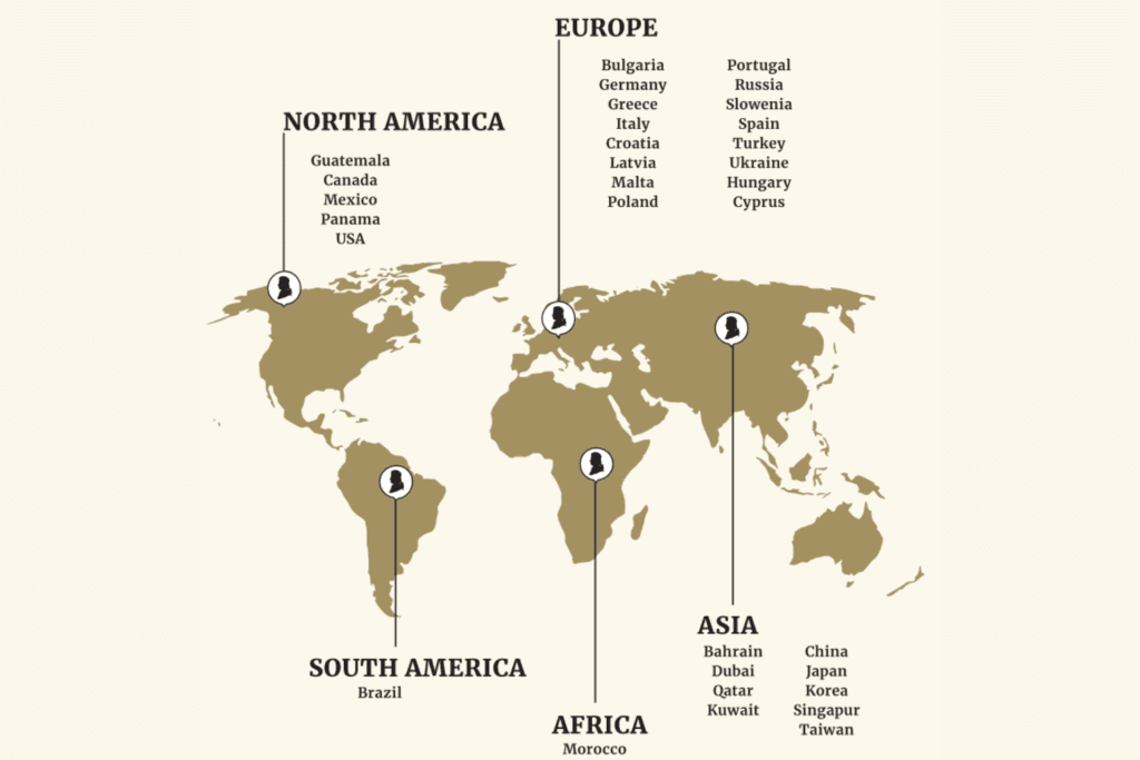 THE VIENNA MOZART ORCHESTRA AROUND THE WORLD